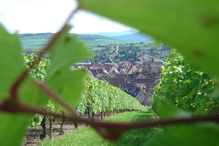 An Apartment In A 17Th Century Wine Grower S House Riquewihr Luaran gambar