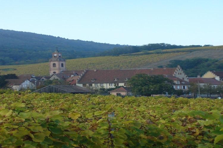 An Apartment In A 17Th Century Wine Grower S House Riquewihr Luaran gambar
